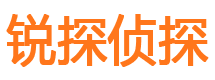 广元市私人侦探